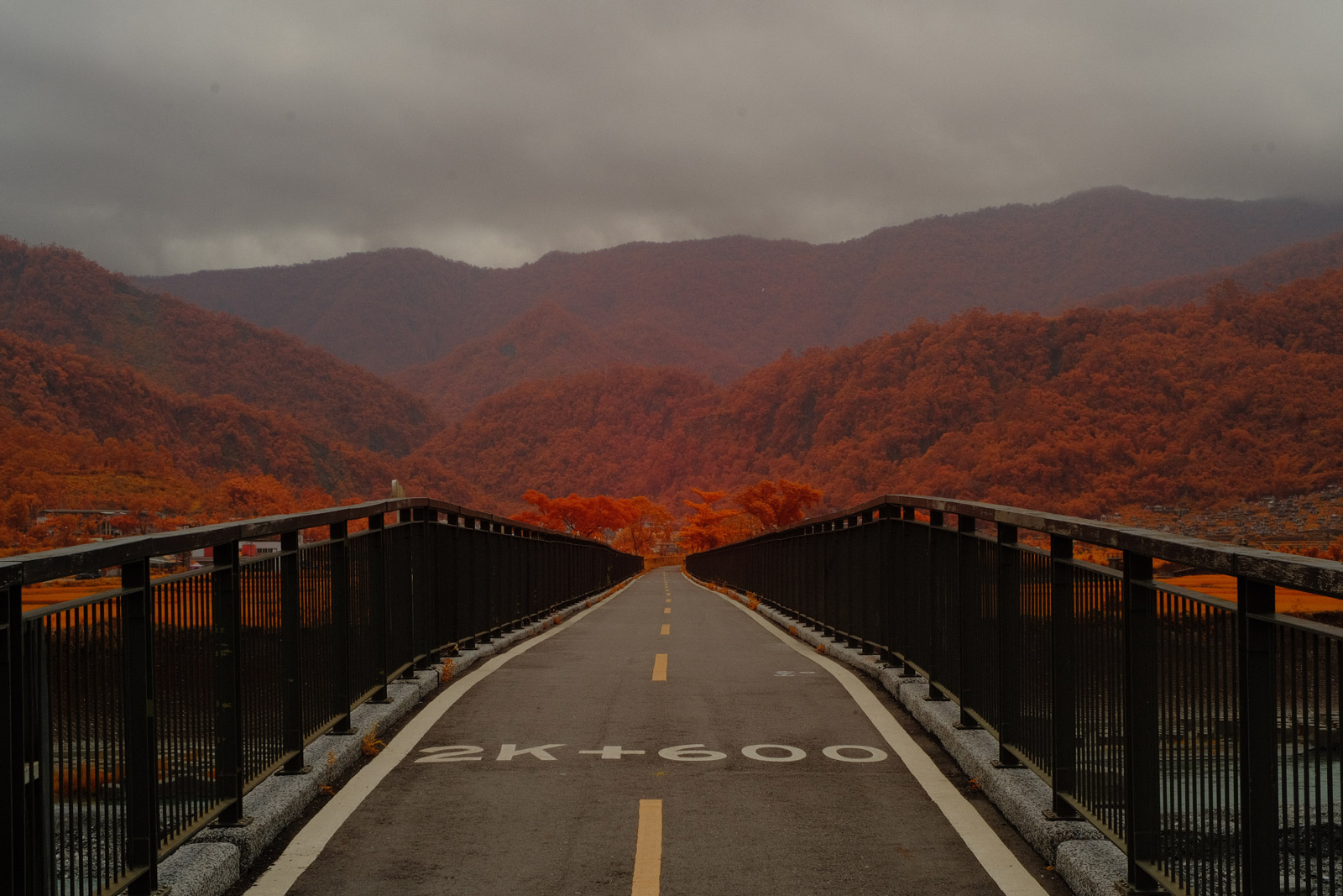 Touring Taiwan on a Fixed Gear